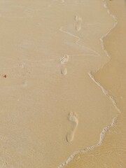 footprints of a man on the wet sand near the sea on the beach