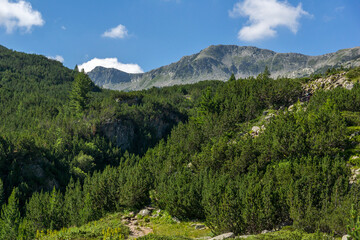 Fototapeta na wymiar landscape of Pirin Mountain near Vihren hut, Bulgaria