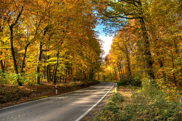 Straße im Herbst
