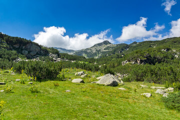 Fototapeta na wymiar landscape of Pirin Mountain near Vihren hut, Bulgaria