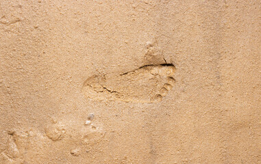 Fototapeta na wymiar A child's human footprint on the wet sand