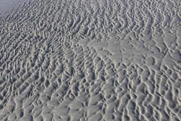 ripples in the sand