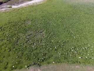 Insel Riether Werder im Neuwarper See