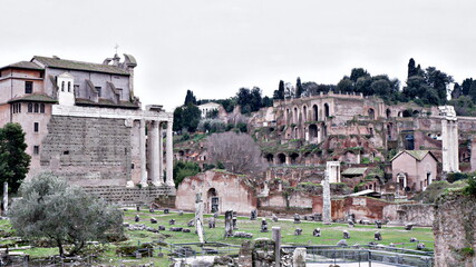 Obraz premium Forum of Caesar (Foro di Cesare), part of Forum Romanum, view of the ruins of Temple of Venus Genetrix, Rome, Italy