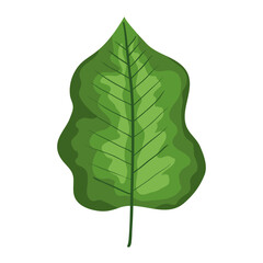 green leaf icon