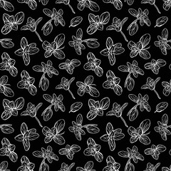  Basil Seamless Pattern. Italian herbs.A sprig of marjoram. Basil is a fragrant and fragrant seasoning. Hand-drawn illustration