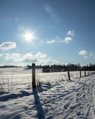 Sonniger Wintertag