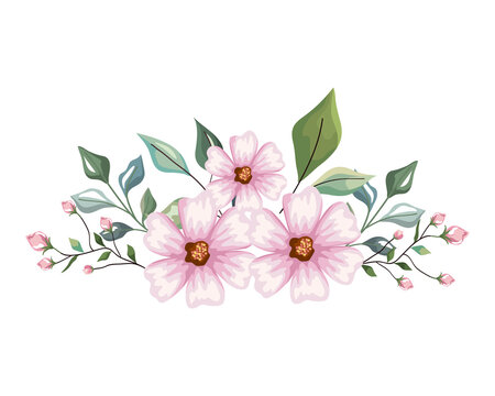 light pink flowers with leaves crown