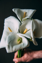 Mockup. White calla Flowers on a black wooden background. Flat lay, spring and summer background with copy space