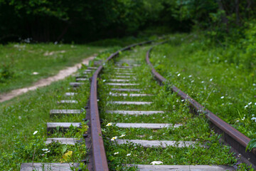 Narrow gauge railway in a mountain gorge among green vegetation