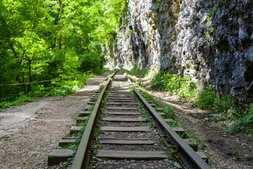 Narrow gauge railway in a mountain gorge among green vegetation