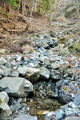 丹沢山地の沢　寄沢
