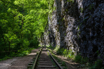 Fototapeta premium Narrow gauge railway in a mountain gorge among green vegetation