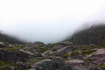 Ireland - landscape in the fog
