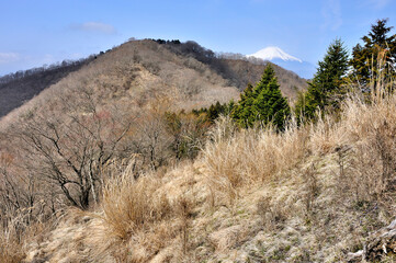 春の富士山眺望　丹沢の檜岳より
丹沢　檜岳より左が伊勢沢ノ頭、右が富士山