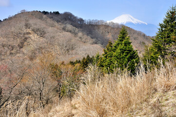 春の富士山眺望　丹沢の檜岳より
丹沢　檜岳より左が伊勢沢ノ頭、右が富士山