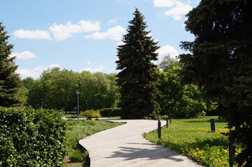 path in the park