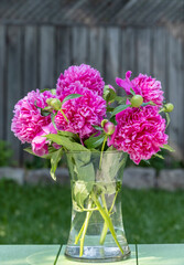Glass Vase of Dark Pink Peonies in a Garden Setting