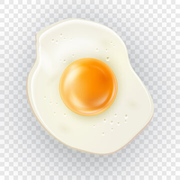 Realistic fried egg vector illustration isolated on transparent background. Detailed 3d chicken egg top view for breakfast, lunch, dinner. Vector illustration EPS10
