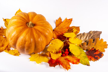Autumn art composition - varied dried leaves, pumpkins, fruits, rowan berries on white background. Autumn, fall, halloween, thanksgiving day concept. Autumn still life.