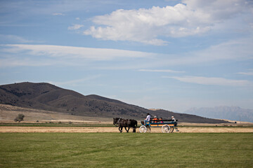 Fall Harvest Festival