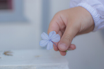 child holding a flower