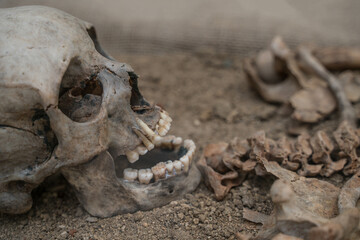 Skull and skeleton of an ancient caveman excavated.