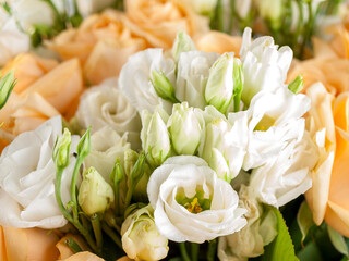 Eustoma is a genus of plants in the Gentian family, cultivated flowers belonging to this genus are called lisianthus, close-up of flowers, a bouquet of white flowers