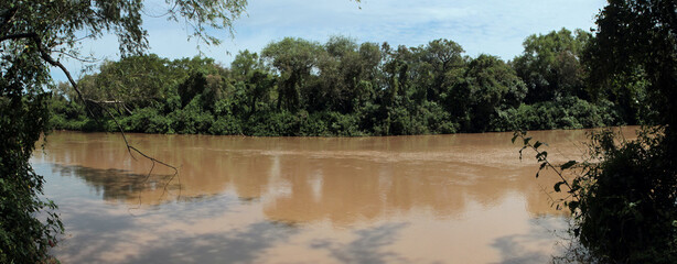 Panorama view of the brown water Paraná river flowing across the tropical rainforest in Pre Delta...