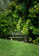 A garden with a wooden rustic bench in tree shade