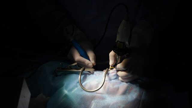 the doctor performs an operation on a child
