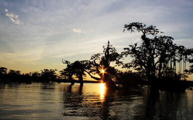 Big Lagoon in the Cuyabeno Reserve
