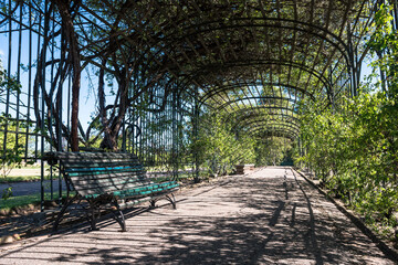 Empty bench under the rosebush. Metal structure covered by plants gives a place with a shadow for resting in a park, no people. Famous touristic place, Prado, Montevideo, Uruguay