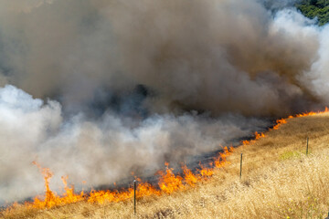 Fire burning in grass in California