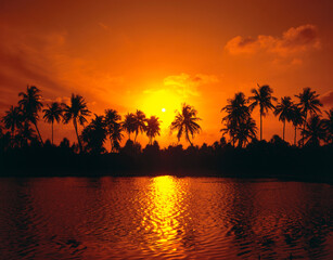 palm island, silhouette, sunset, 