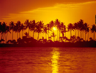Obraz na płótnie Canvas palm beach, sunset, backlight, 