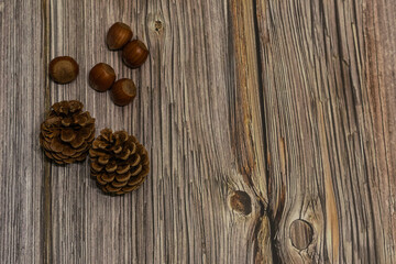 Pine cone and nuts on wooden bckground