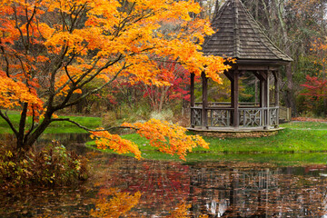 Autumn tree and Gazebo