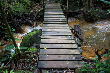 Wooden bridge over a creek (Guanacaste, Costa Rica)