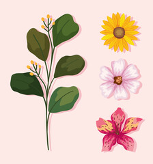 leaves and flowers set