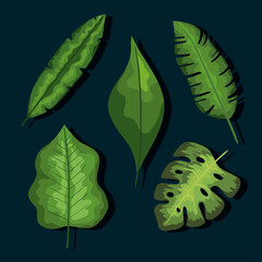 leaves icon set