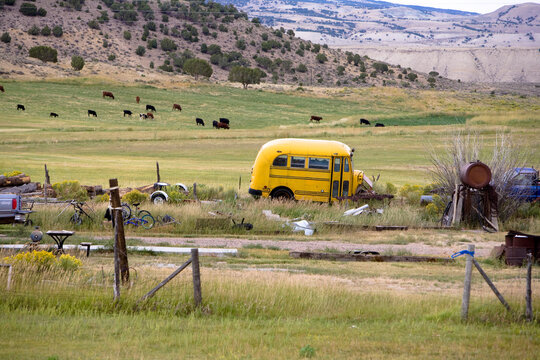 Typical western scene of an old broken down school bus, cows; bikes and a truck during adventures of The West in Robertson, Wyoming and the ranches in the Bridger Valley.