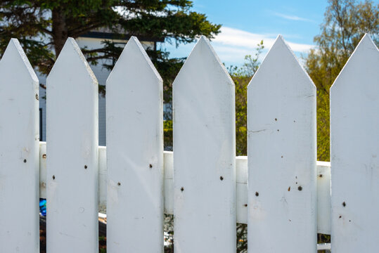 A wide white wooden picket fence of boards with nails and a horizontal wooden rail in the foreground. There are tall trees and green grass in the background with blue sky and white clouds.  