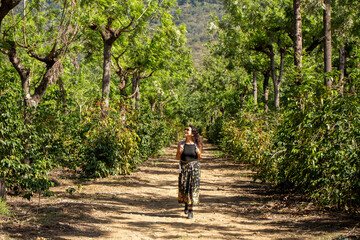 Walking through coffee plantation in Antigua, Guatemala