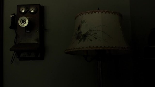 Lamp with Flower-patterned Shade next to Vintage Retro Antique Landline Wall Phone