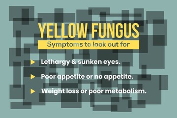 Infographic of Yellow Fungus disease symptoms typography poster, banner, and notice vector design. 