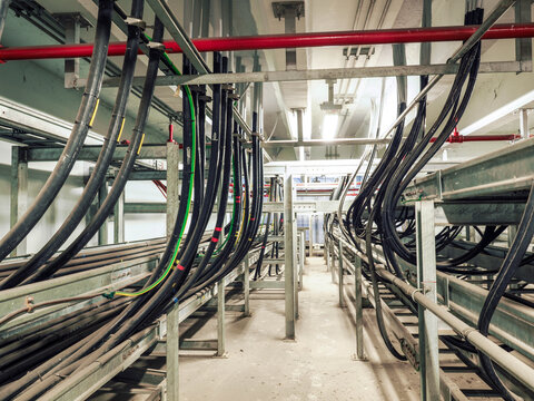 Power cables and instrument cables were installed with cable trays in electric cable room of power plant which show metal material of tray and black high voltage cable.
