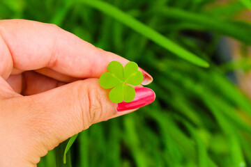 hand with clover