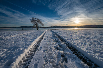 winter landscape with snow