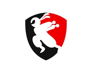 Protection shield with running ninja inside © Jefry Maviskho